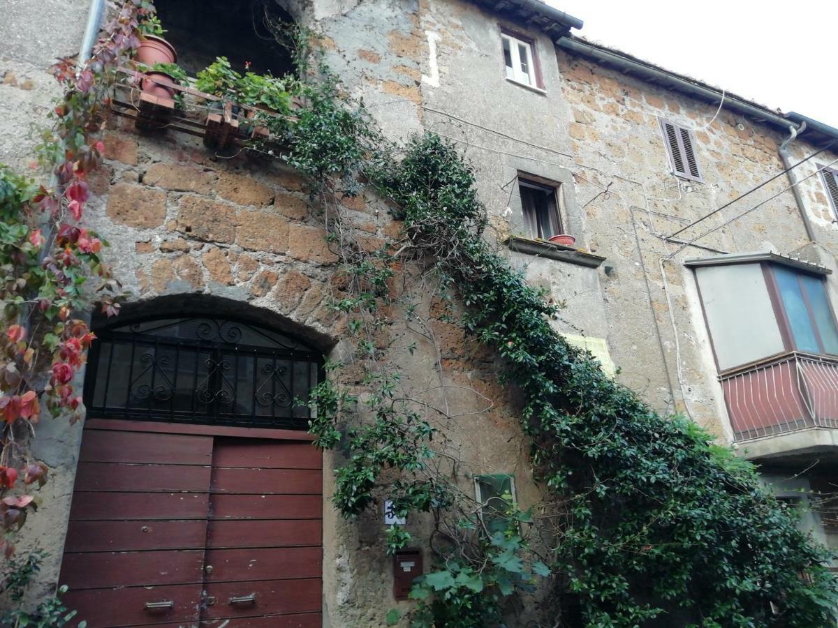 Relax Dal Caos Di Citta Appartement Barbarano Romano Buitenkant foto