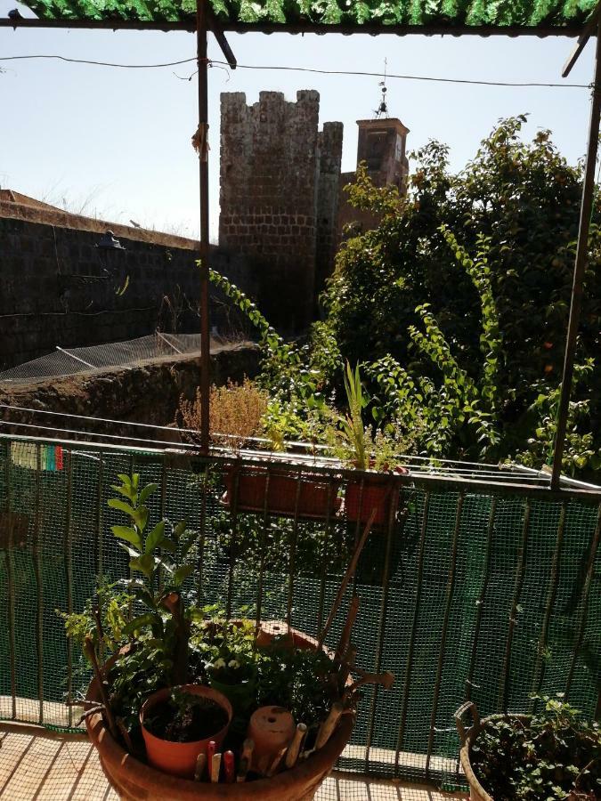 Relax Dal Caos Di Citta Appartement Barbarano Romano Buitenkant foto