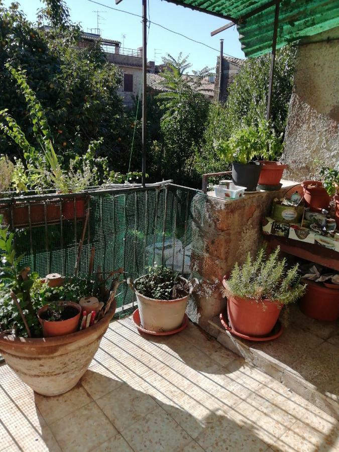 Relax Dal Caos Di Citta Appartement Barbarano Romano Buitenkant foto